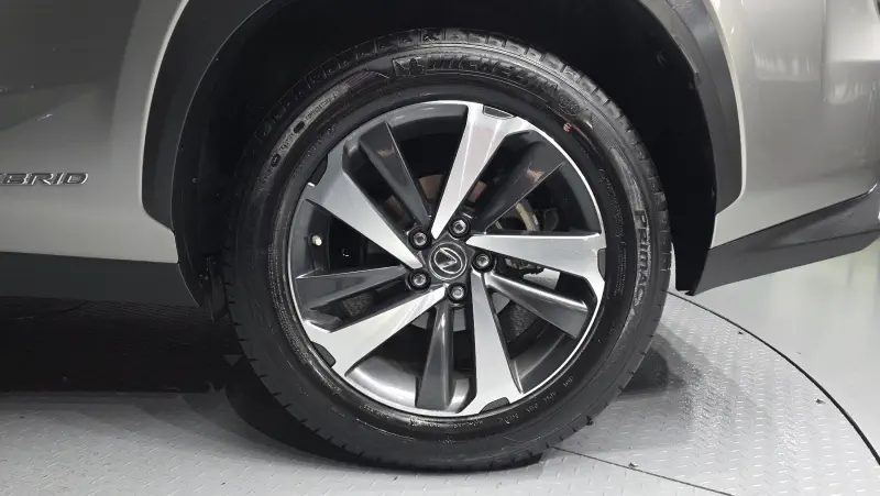 Lexus NX300h