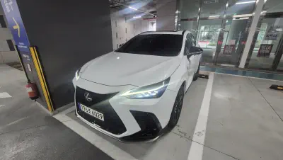 Lexus NX450h+