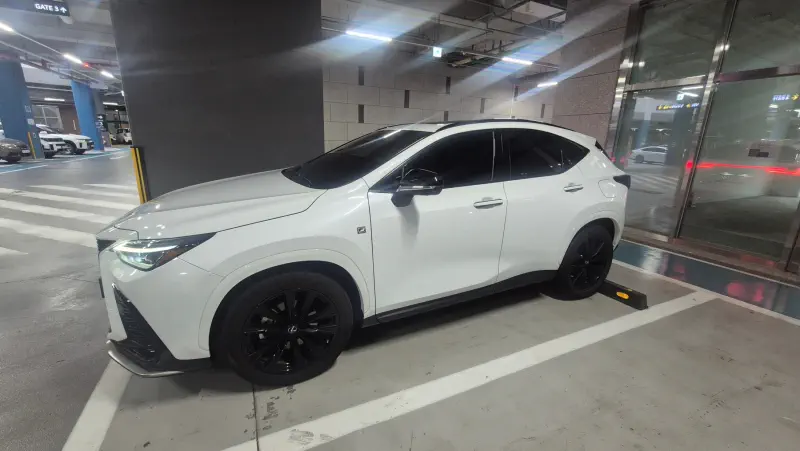 Lexus NX450h+