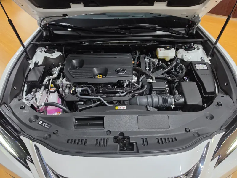 Lexus ES300h