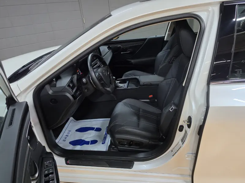 Lexus ES300h