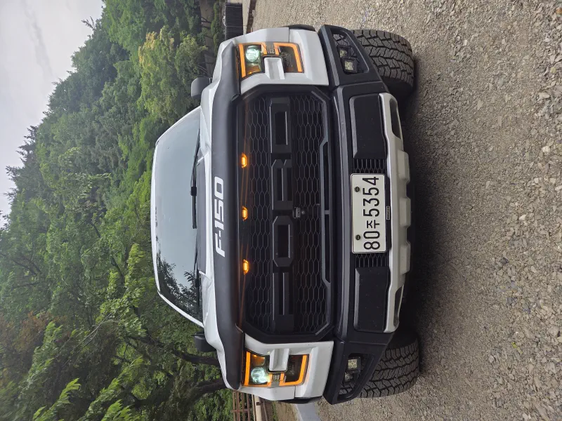 Ford F150