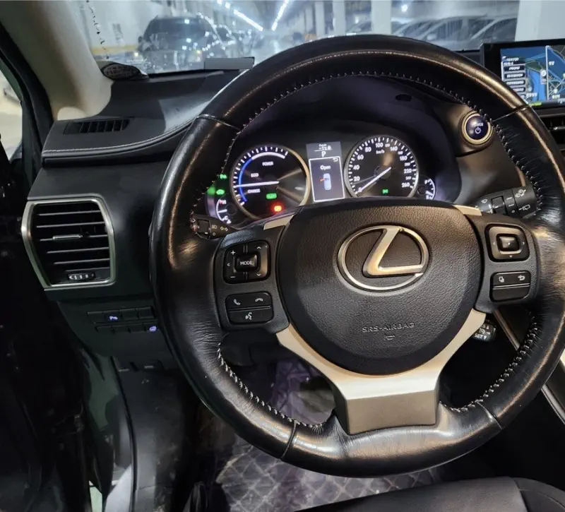 Lexus NX300h