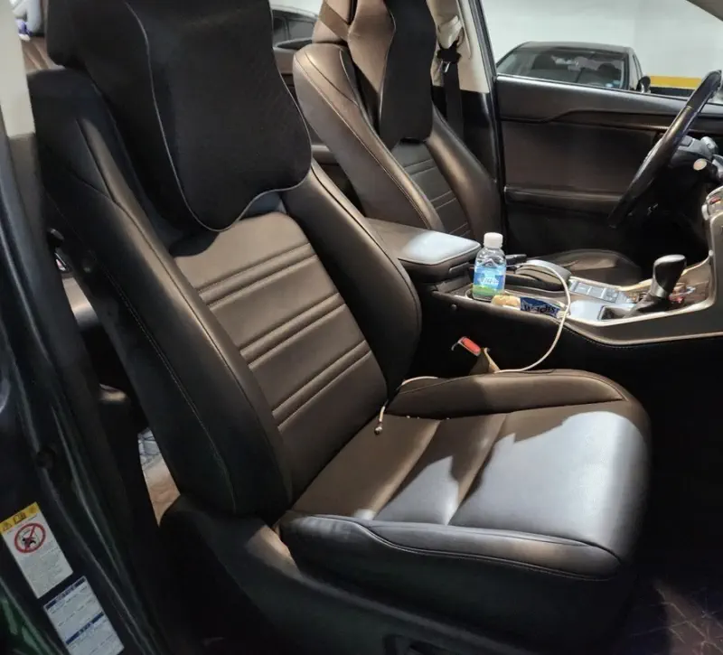 Lexus NX300h