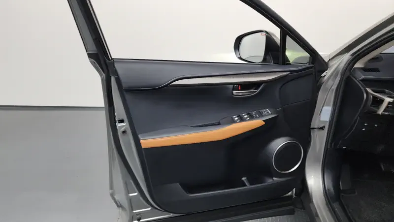 Lexus NX300h