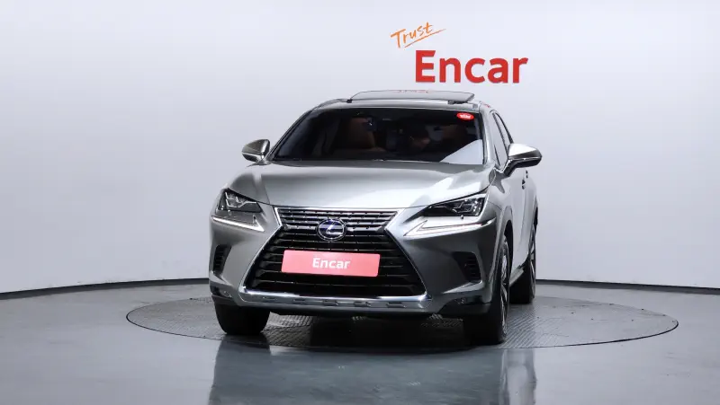 Lexus NX300h