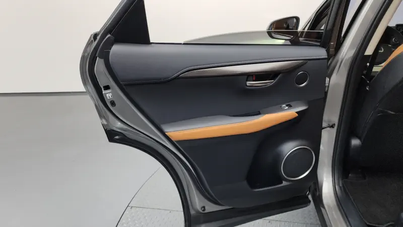 Lexus NX300h