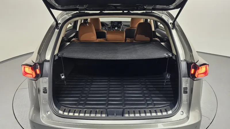 Lexus NX300h