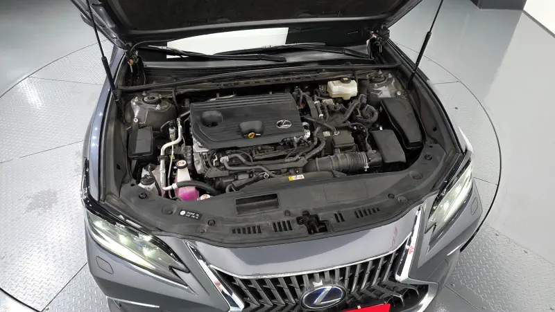 Lexus ES300h