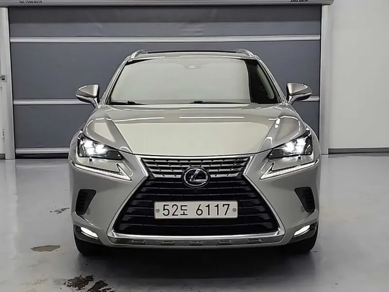 Lexus NX300h