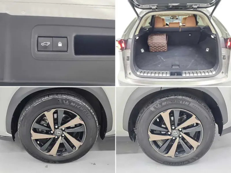 Lexus NX300h
