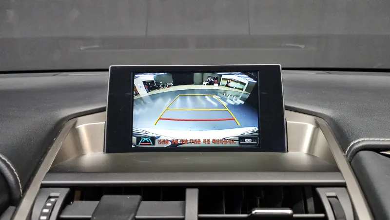 Lexus NX300h