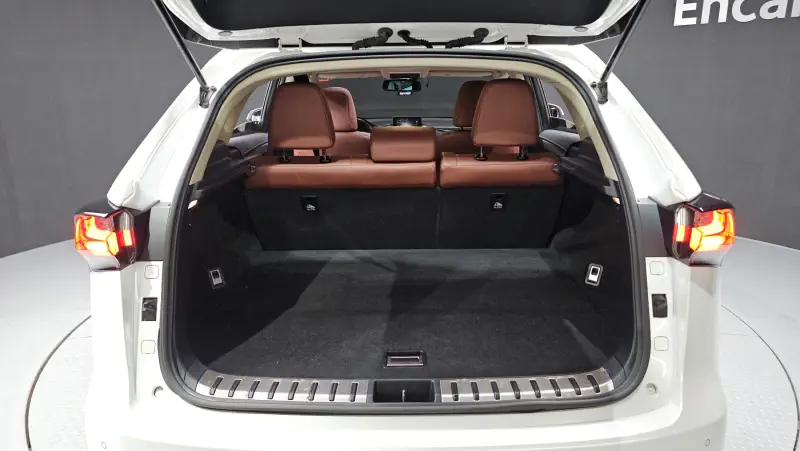 Lexus NX300h