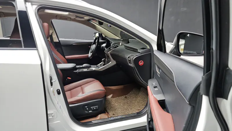 Lexus NX300h