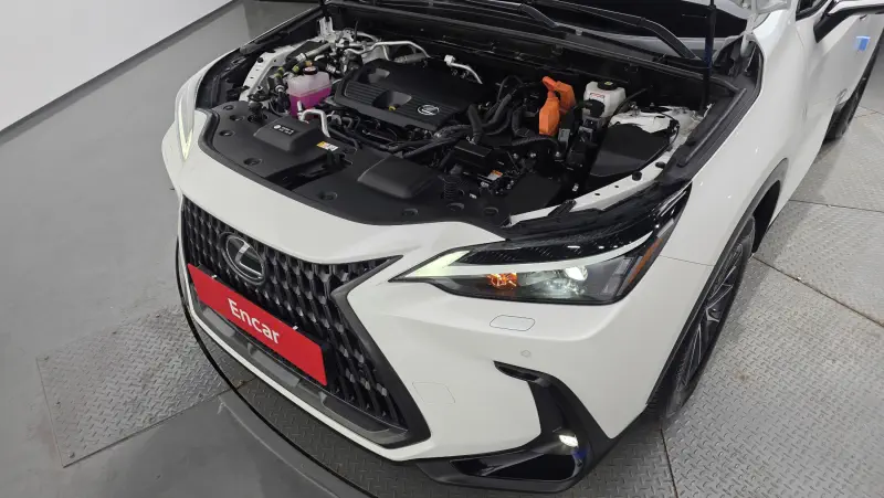Lexus NX450h+