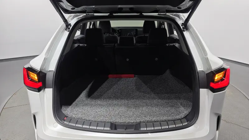 Lexus NX450h+