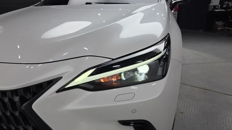 Lexus NX450h+