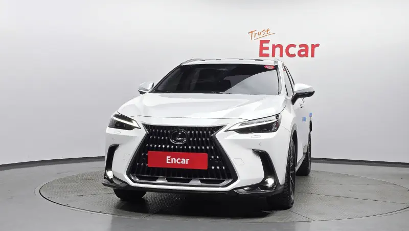 Lexus NX450h+
