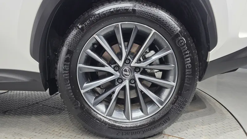 Lexus NX450h+