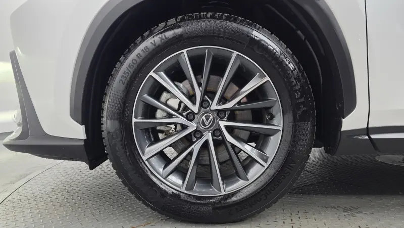 Lexus NX450h+