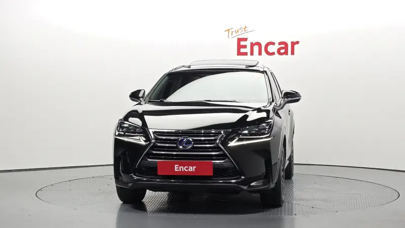 Lexus NX300h
