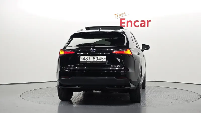 Lexus NX300h