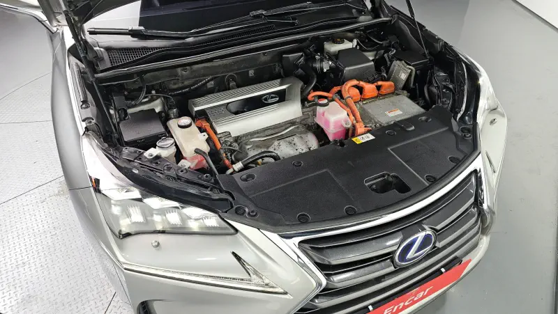 Lexus NX300h