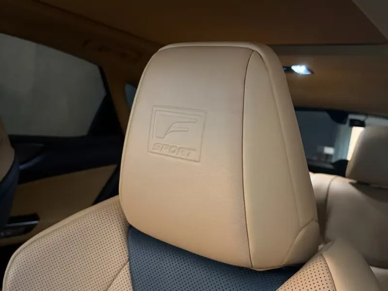 Lexus NX450h+