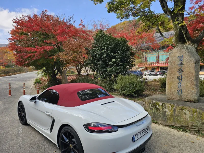 Porsche Boxster