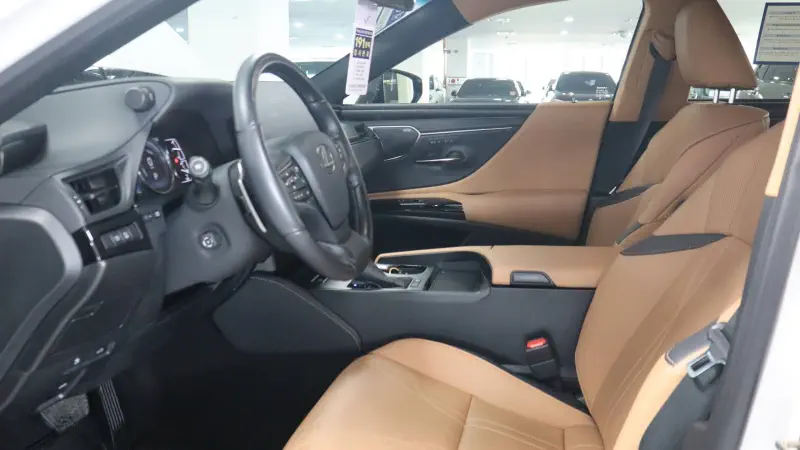 Lexus ES300h