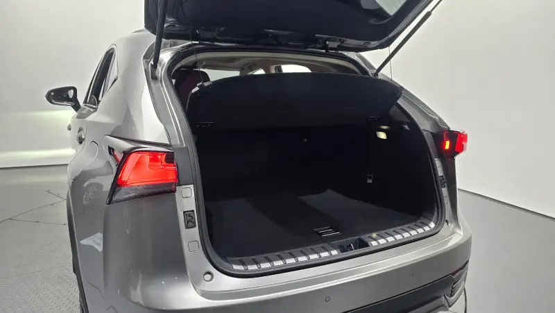 Lexus NX300h