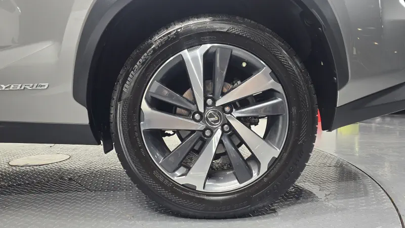 Lexus NX300h