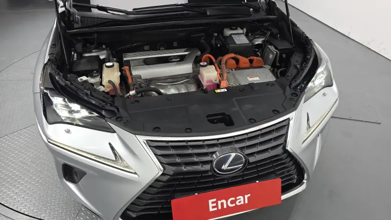Lexus NX300h