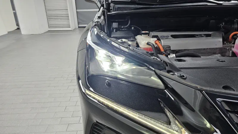 Lexus NX300h