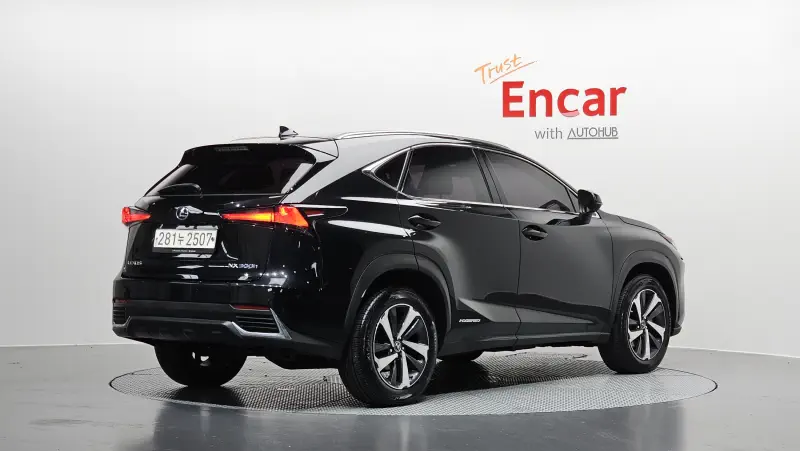 Lexus NX300h