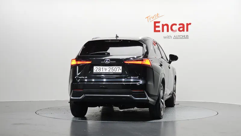 Lexus NX300h