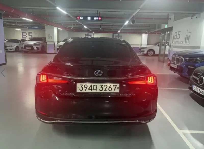 Lexus ES300h