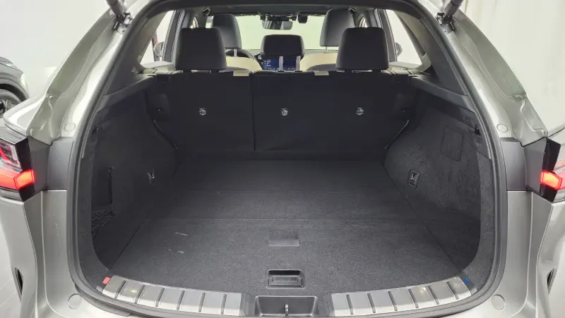 Lexus NX450h+