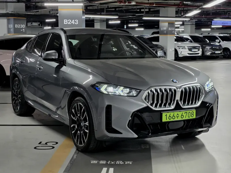 BMW X6