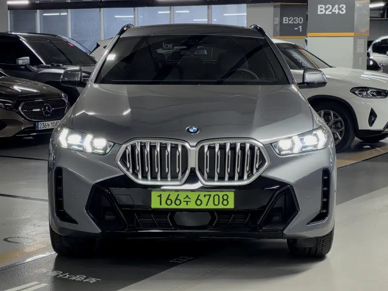 BMW X6