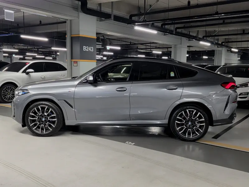 BMW X6