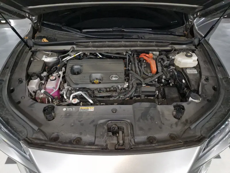 Lexus RX450h+