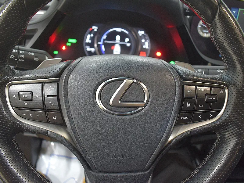 Lexus ES300h