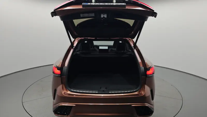 Lexus RX500h