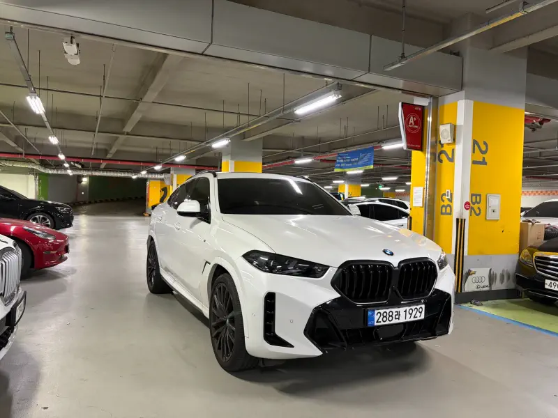 BMW X6
