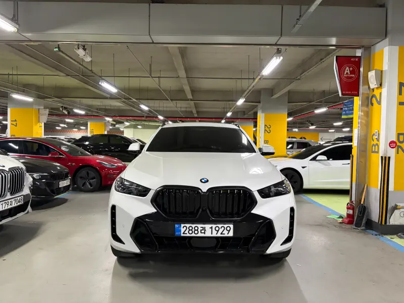 BMW X6