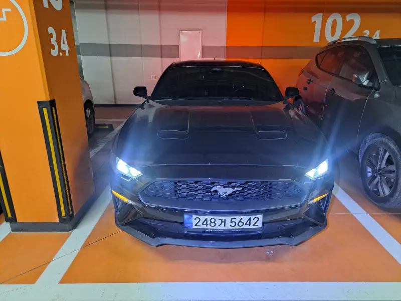 Ford Mustang