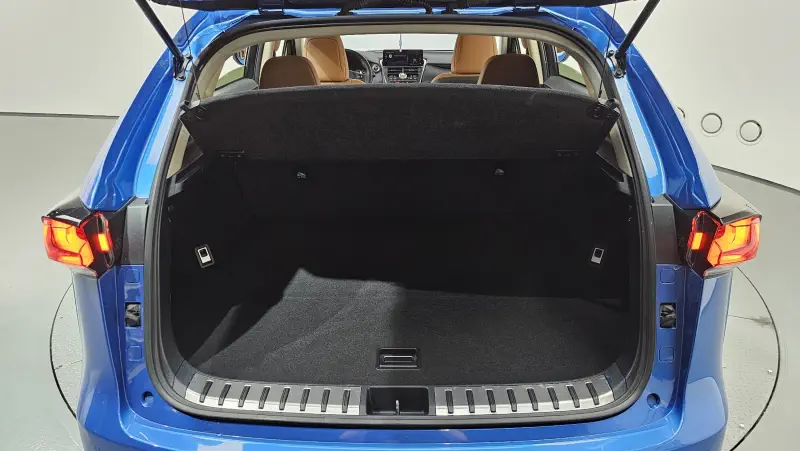 Lexus NX300h