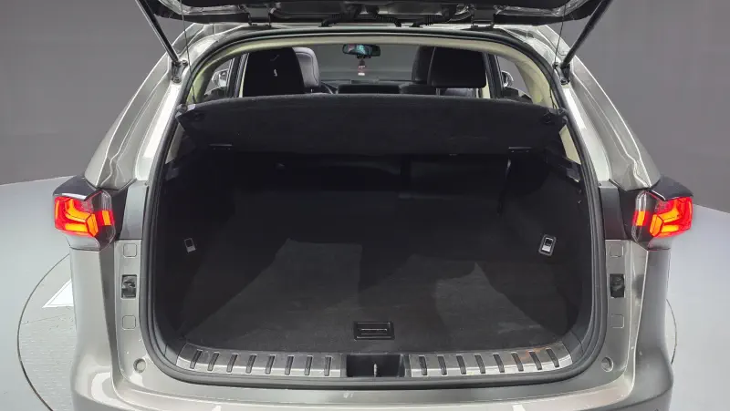 Lexus NX300h