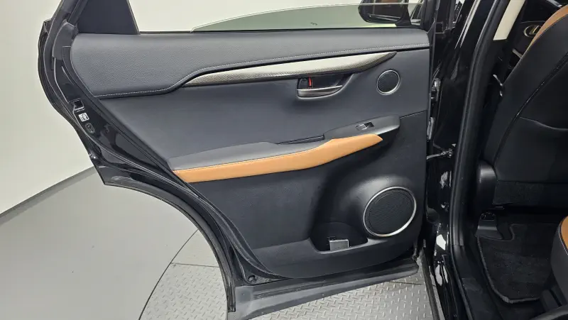 Lexus NX300h